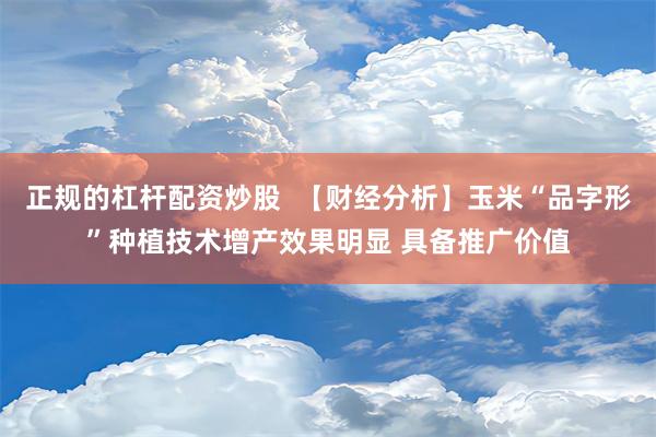 正规的杠杆配资炒股  【财经分析】玉米“品字形”种植技术增产效果明显 具备推广价值