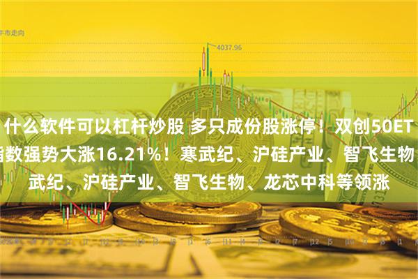 什么软件可以杠杆炒股 多只成份股涨停！双创50ETF(159782)跟踪指数强势大涨16.21%！寒武纪、沪硅产业、智飞生物、龙芯中科等领涨