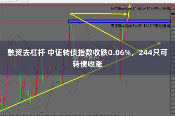 融资去杠杆 中证转债指数收跌0.06%，244只可转债收涨