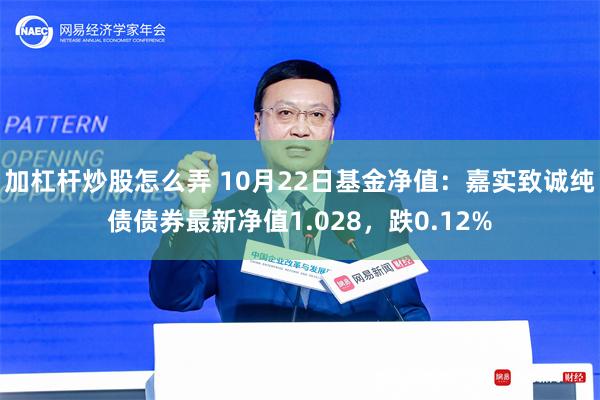 加杠杆炒股怎么弄 10月22日基金净值：嘉实致诚纯债债券最新净值1.028，跌0.12%