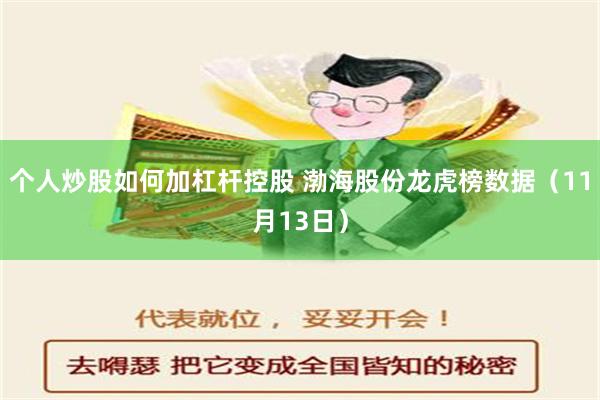 个人炒股如何加杠杆控股 渤海股份龙虎榜数据（11月13日）